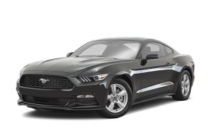 Запчасти на FORD MUSTANG (VI), 15 -