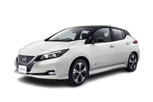 Запчасти на NISSAN LEAF (ll), 17-