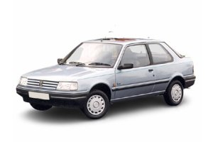 Запчасти на PEUGEOT 309 (I), 86 - 93