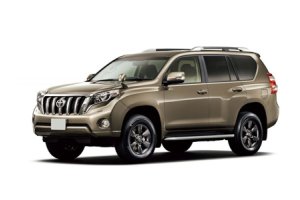 Запчасти на TOYOTA PRADO FJ150, 09 -