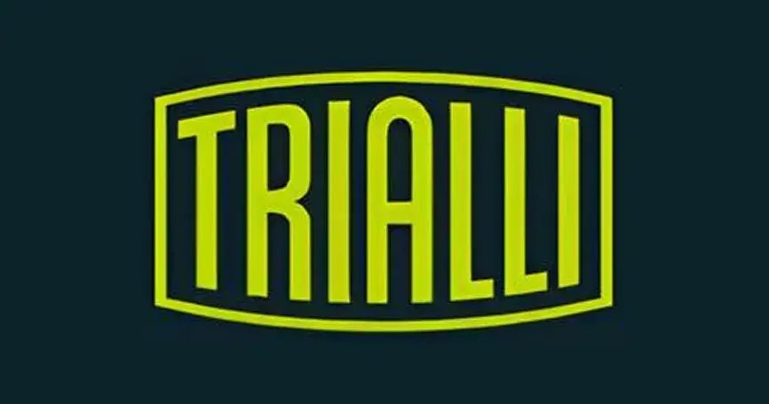 Глушители и резонаторы Trialli